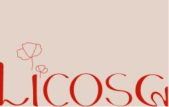 Présentation du logo typographique de licosa, avec la custom font mei