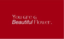 Présentation d'un flyer : you are a beautiful flower